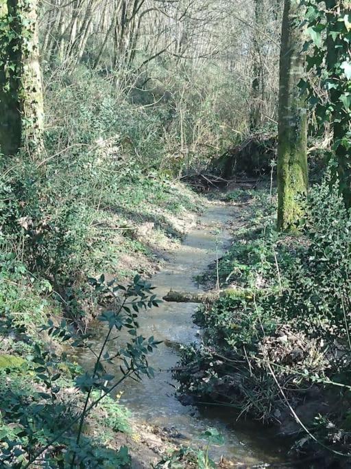 Location Meublee Au Milieu D'Un Ecrin De Verdure Aux Vieux Fours Noaillac Exteriör bild