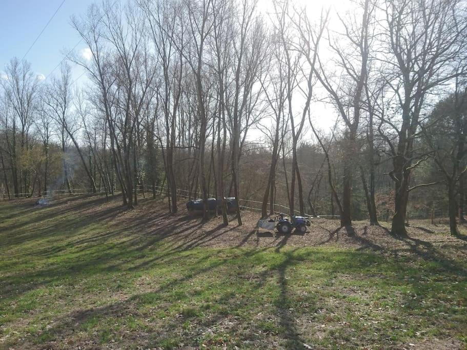 Location Meublee Au Milieu D'Un Ecrin De Verdure Aux Vieux Fours Noaillac Exteriör bild