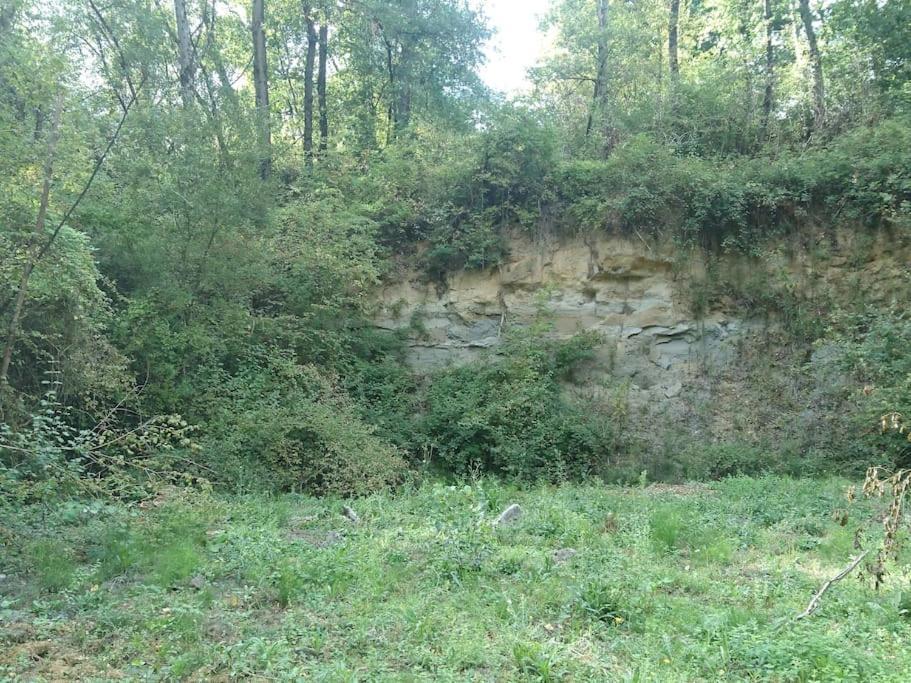 Location Meublee Au Milieu D'Un Ecrin De Verdure Aux Vieux Fours Noaillac Exteriör bild