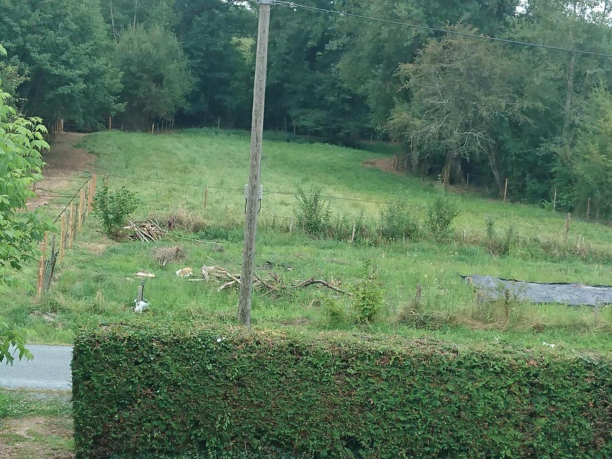 Location Meublee Au Milieu D'Un Ecrin De Verdure Aux Vieux Fours Noaillac Exteriör bild