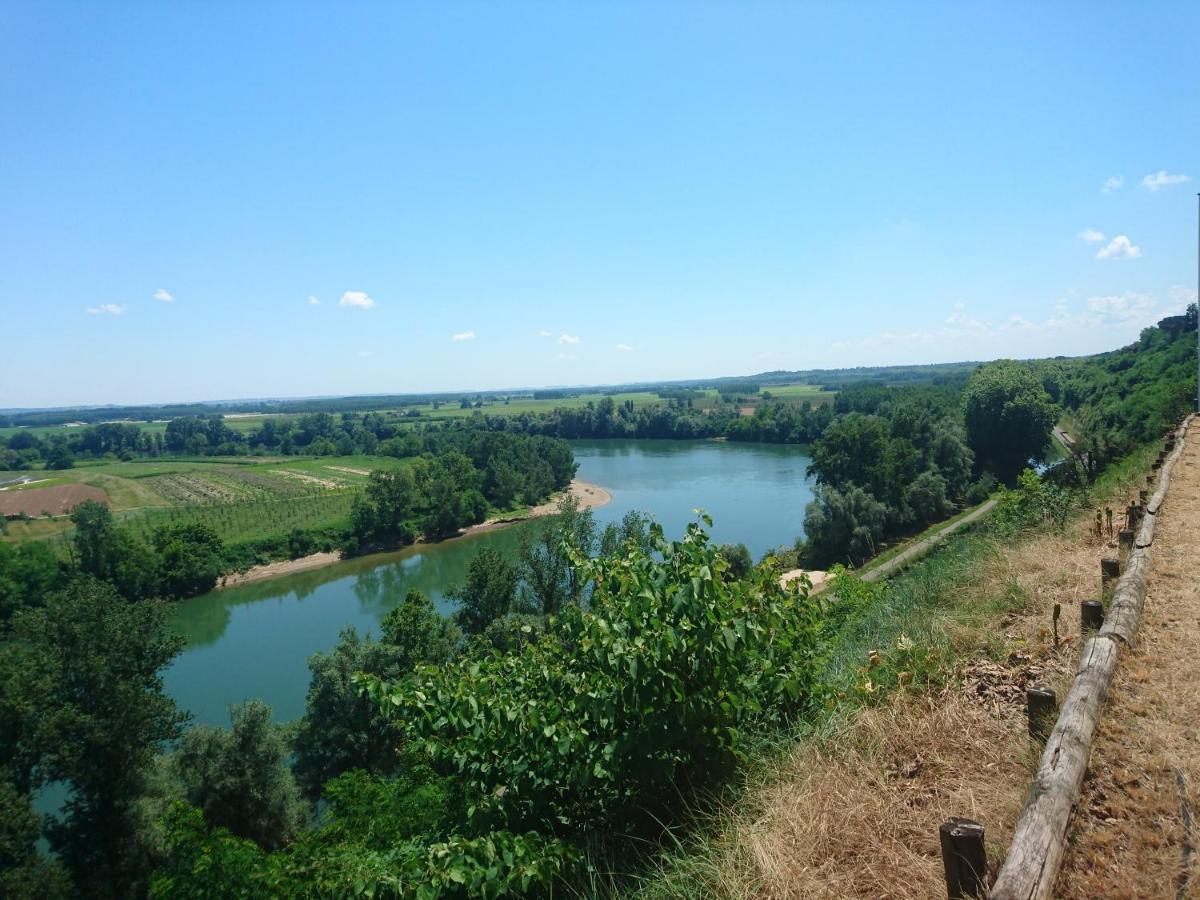 Location Meublee Au Milieu D'Un Ecrin De Verdure Aux Vieux Fours Noaillac Exteriör bild